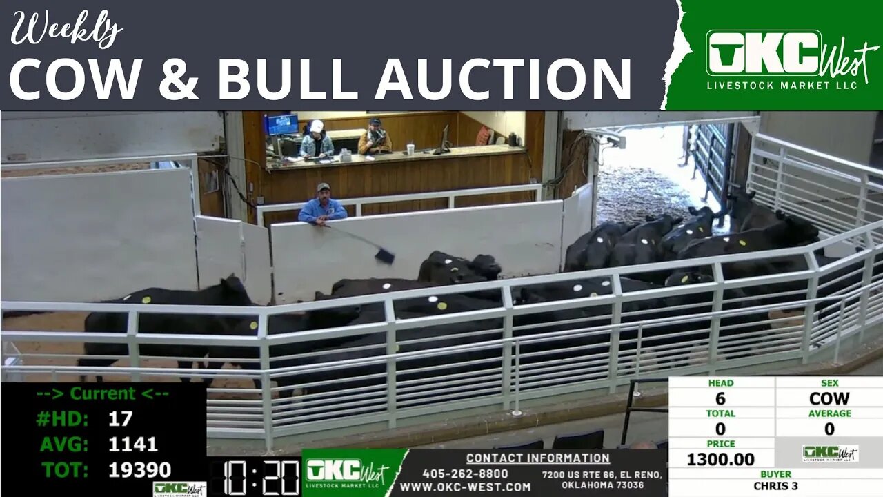 5/22/2023 - OKC West Weekly Cow & Bull Auction