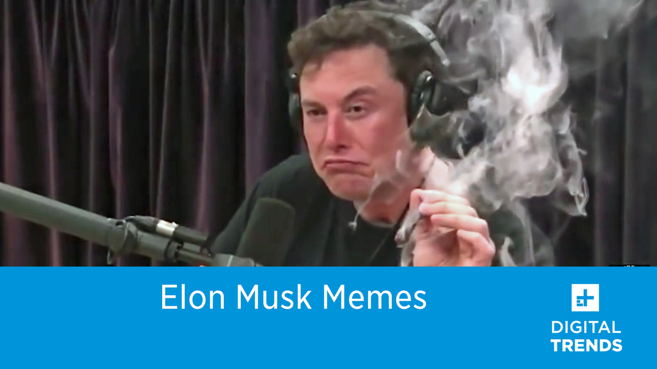 Elon Musk is a meme machine, and he knows it