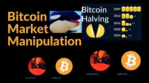 Bitcoin Market Manipulation Whales Cryptocurrency Gold Silver Stocks Diamonds Bitcoin Mining Halving