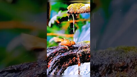 I sometimes envy the simple life of some creatures… ❤️