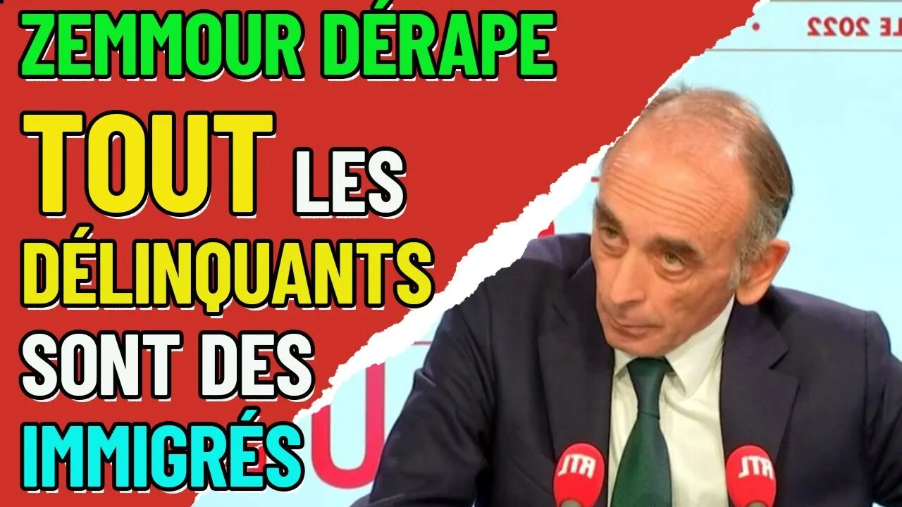 Eric Zemmour dérape " tous les délinquants en France sont des immigrés "