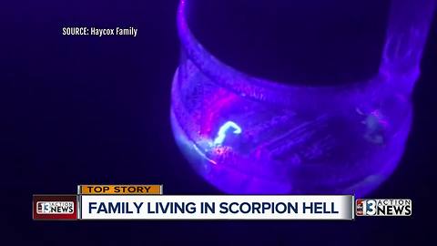 Family living in scorpion hell