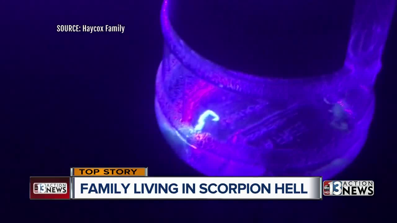 Family living in scorpion hell