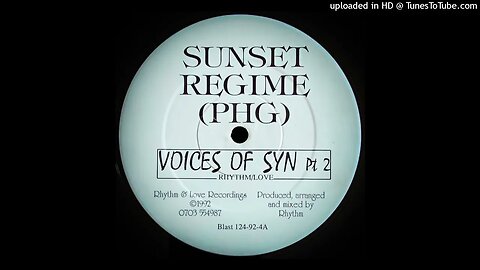 SUNSET REGIME - VOICES OF SYN PT 2