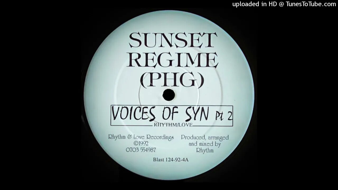 SUNSET REGIME - VOICES OF SYN PT 2