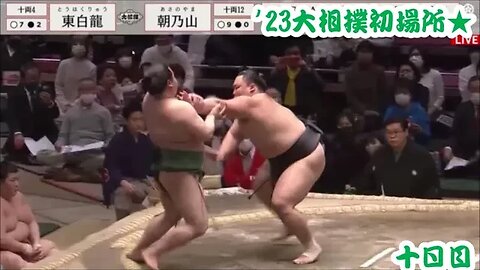 朝乃山10連勝,再入幕迄”４”【'23大相撲初場所十日目･一口解説】