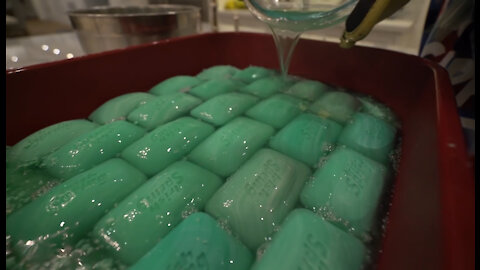 Making My Dog A Bed Of Soap