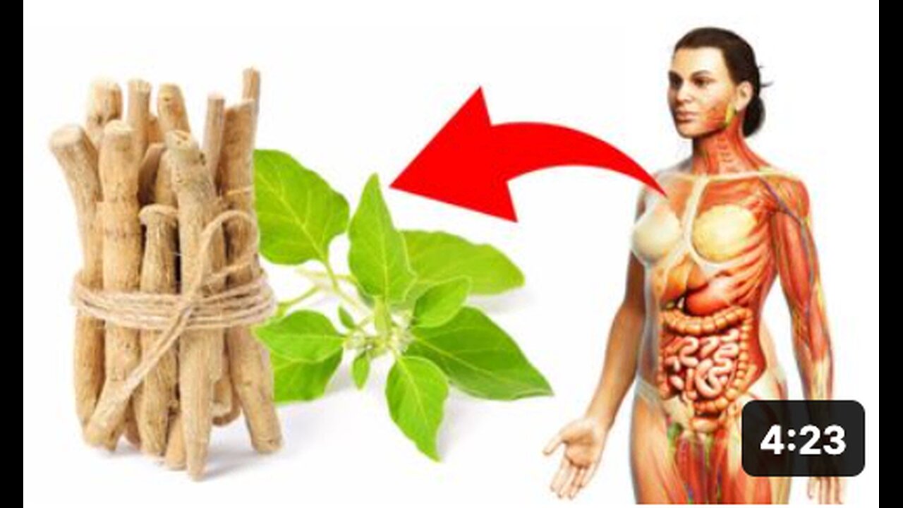 Why Are Many People Suddenly Taking This Ancient Herb. (Ashwagandha Benefits)