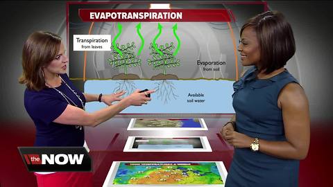 Geeking Out: Evapotranspiration