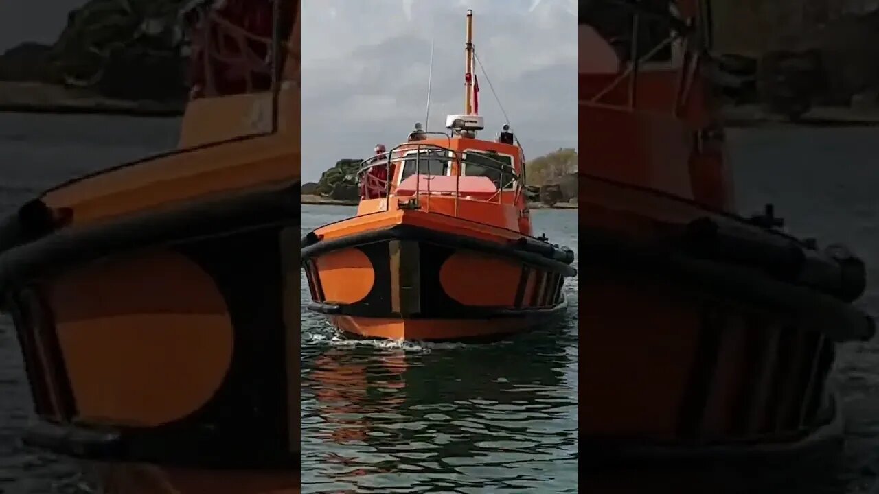 Devonport Pilot Boat. #trending #shorts #merchantnavy #lifeatsea #pilotlife #pilot #tasmania #ocean