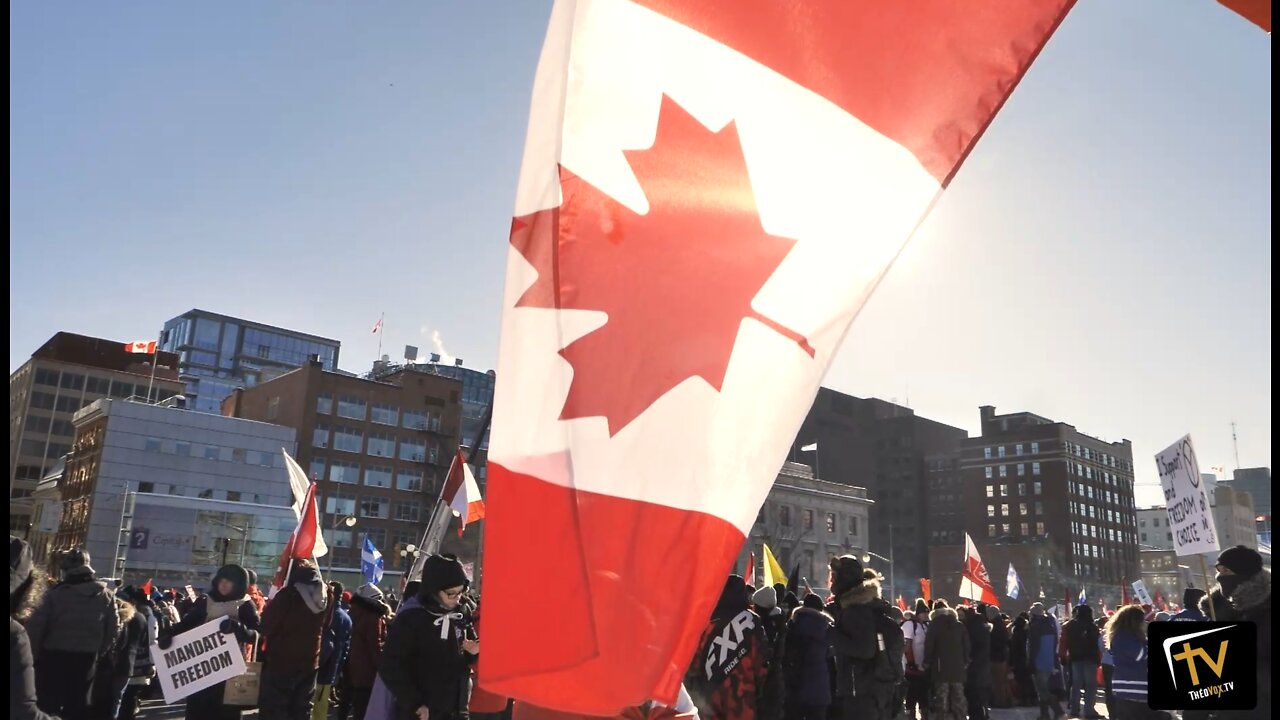 Convoi pour la liberté 2022 - Théovox.tv - 2022-01-29