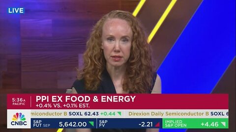 Leftist Economist Makes Absurd Renewable Energy Claims On CNBC
