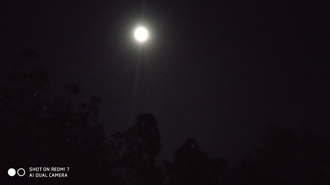 Full Moon Night