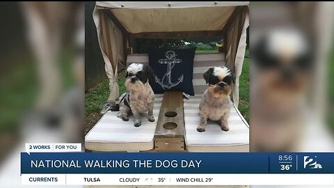 2 Works for You's Celebrates National Walking the Dog Day: Viewers Photos 1