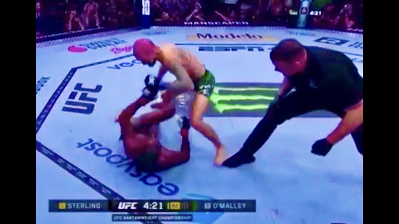 White Man In Pink Dreadlocks Beats Up Black Man In UFC Cage Match Is This Racist Or Gay