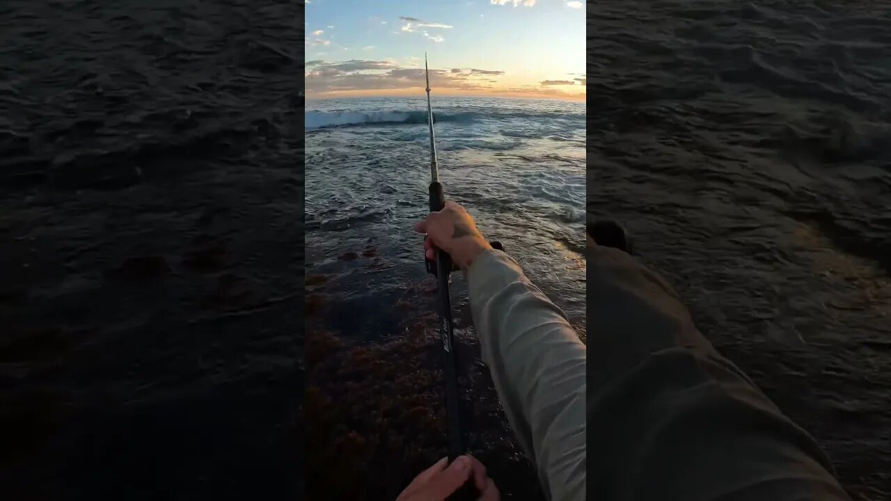 3 DAYS SOLO CAMPING IN REMOTE AUSTRALIA