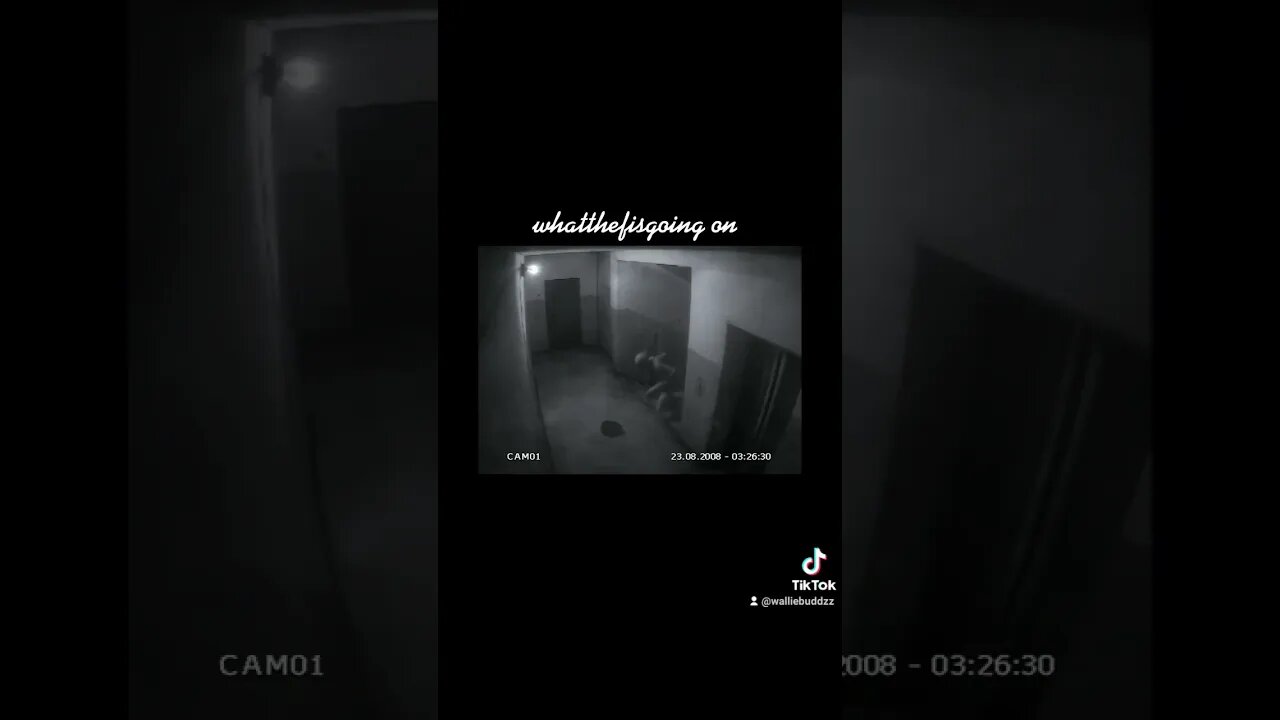 wtf