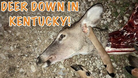 Josh Got Himself Some Meat In The Freezer! Deer Down In Eastern Kentucky