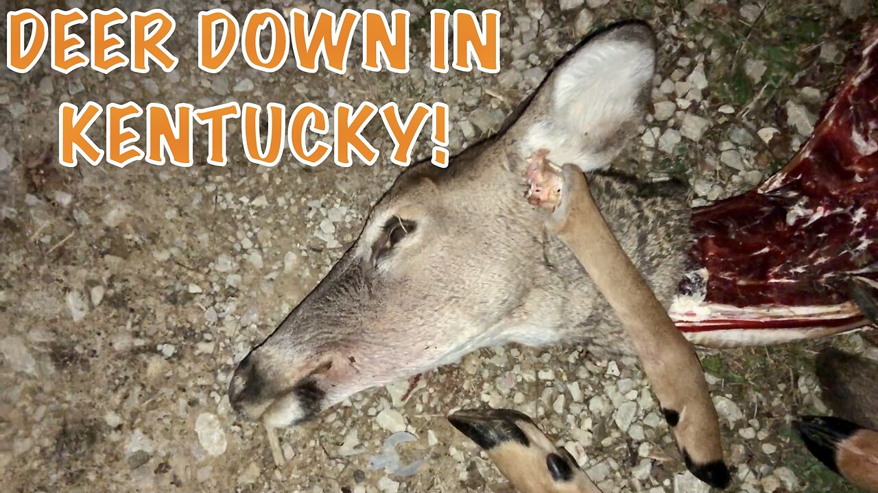 Josh Got Himself Some Meat In The Freezer! Deer Down In Eastern Kentucky