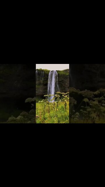 Beautiful relaxing music for stress #shorts