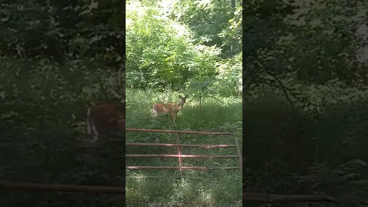 nature taste great