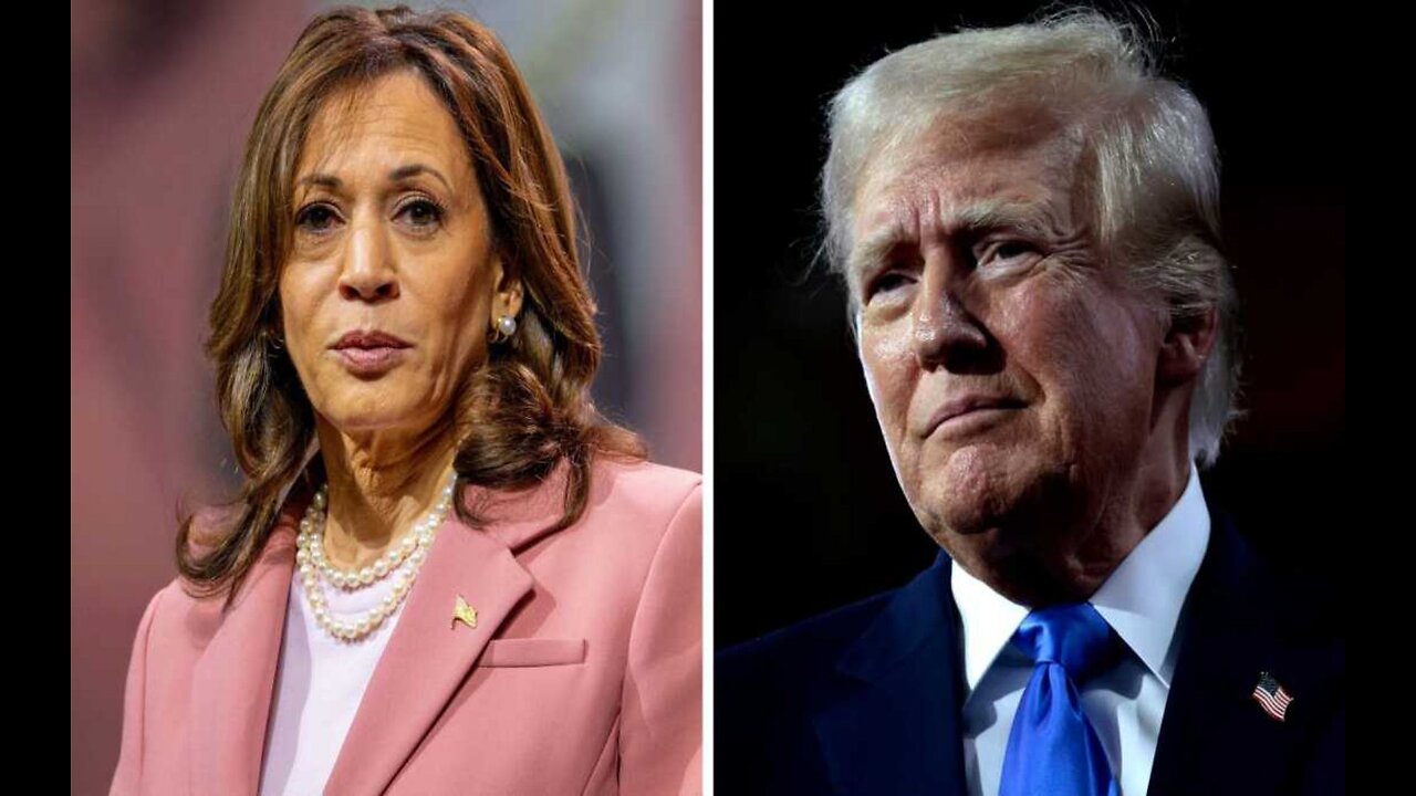 The Hill Trump Holds Six-Point Lead Over Harris