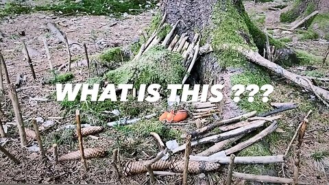 we found something WEIRD in the forest 😧