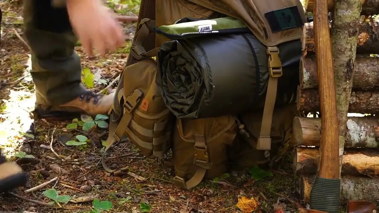 4+The jungle builds a survival cabin