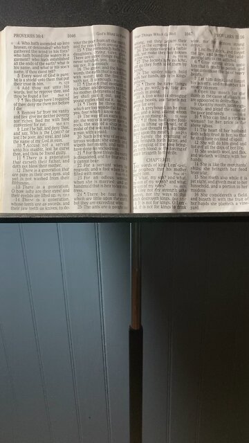 The Children of the Beast Gen Z