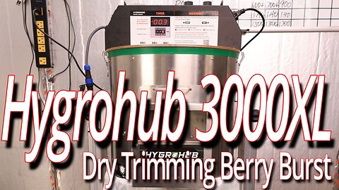 Trimming Berry Burst Flowers With The Hygrohub 3000XL Trimmer