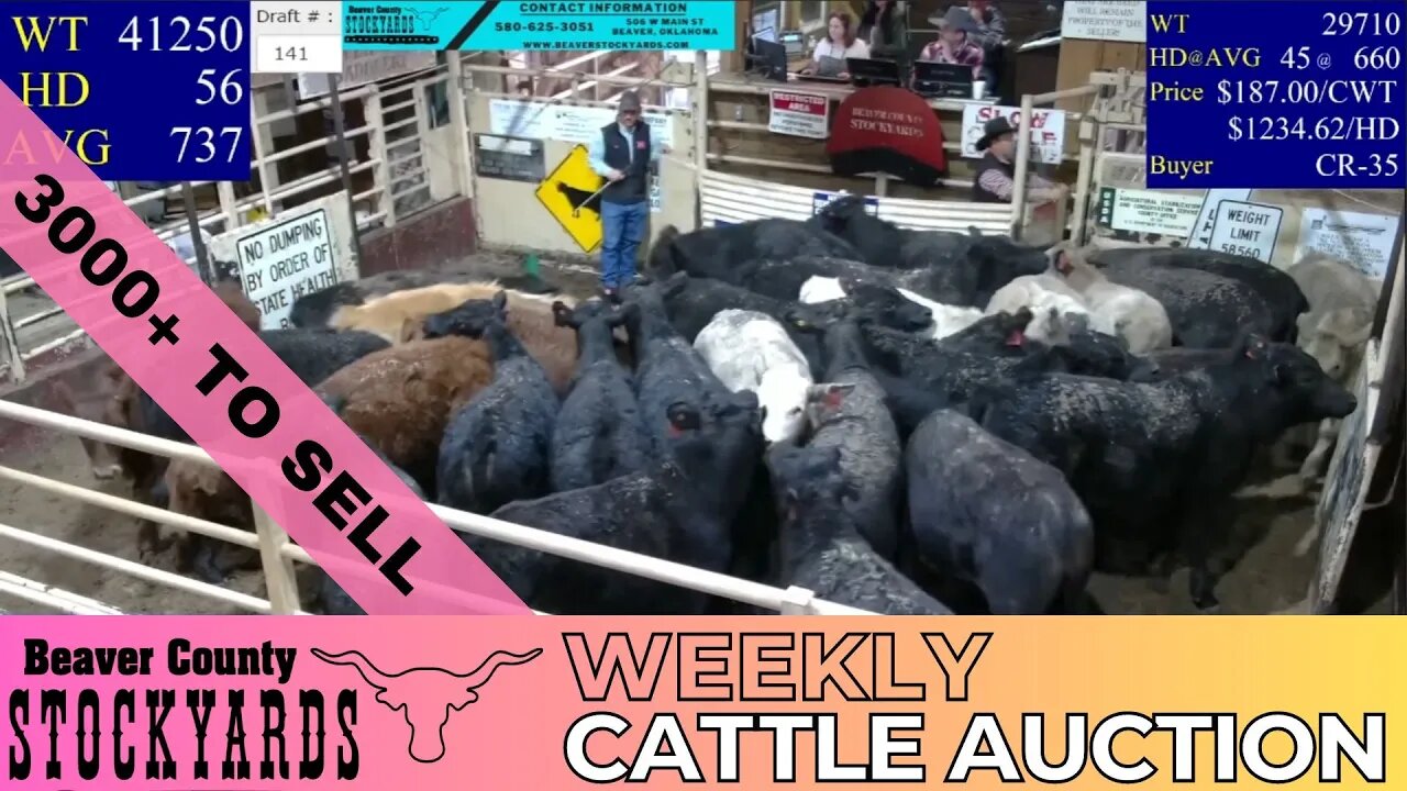 3/28/2023 - Beaver County Stockyards Livestock Auction