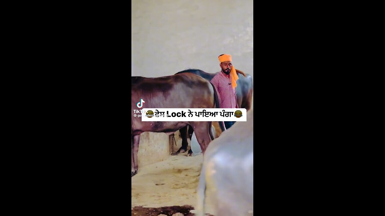 Punjabi funny