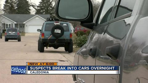 Caught on Camera: String of vehicle break-ins in Caledonia