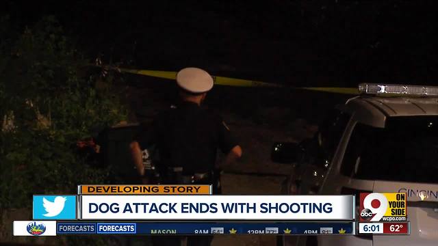 Woman hit in leg when Cincinnati officer shot aggressive dog, police say