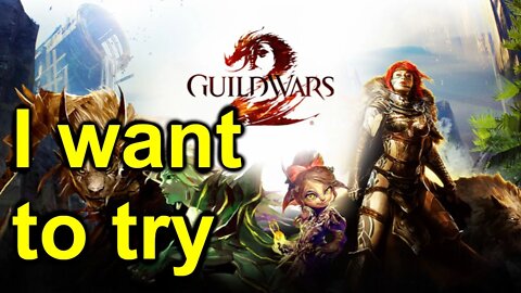 Checking Out Guild Wars 2