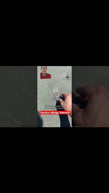 Jellyfish can sting you from multiple places