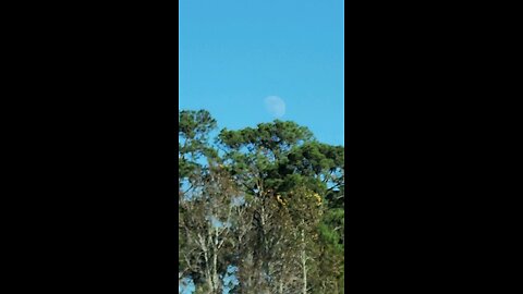 12/11/2024 Afternoon Moon