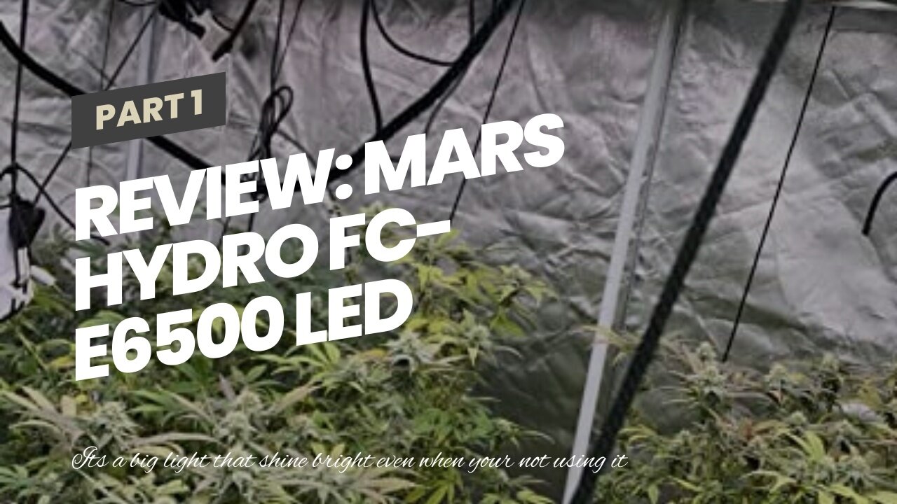 Review: MARS HYDRO FC-E6500 LED Grow Light 5x5ft 730Watt with 3546pcs Diodes Full Spectrum Grow...