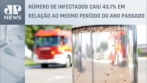 DF registra quase 4 mil casos prováveis de dengue em fevereiro