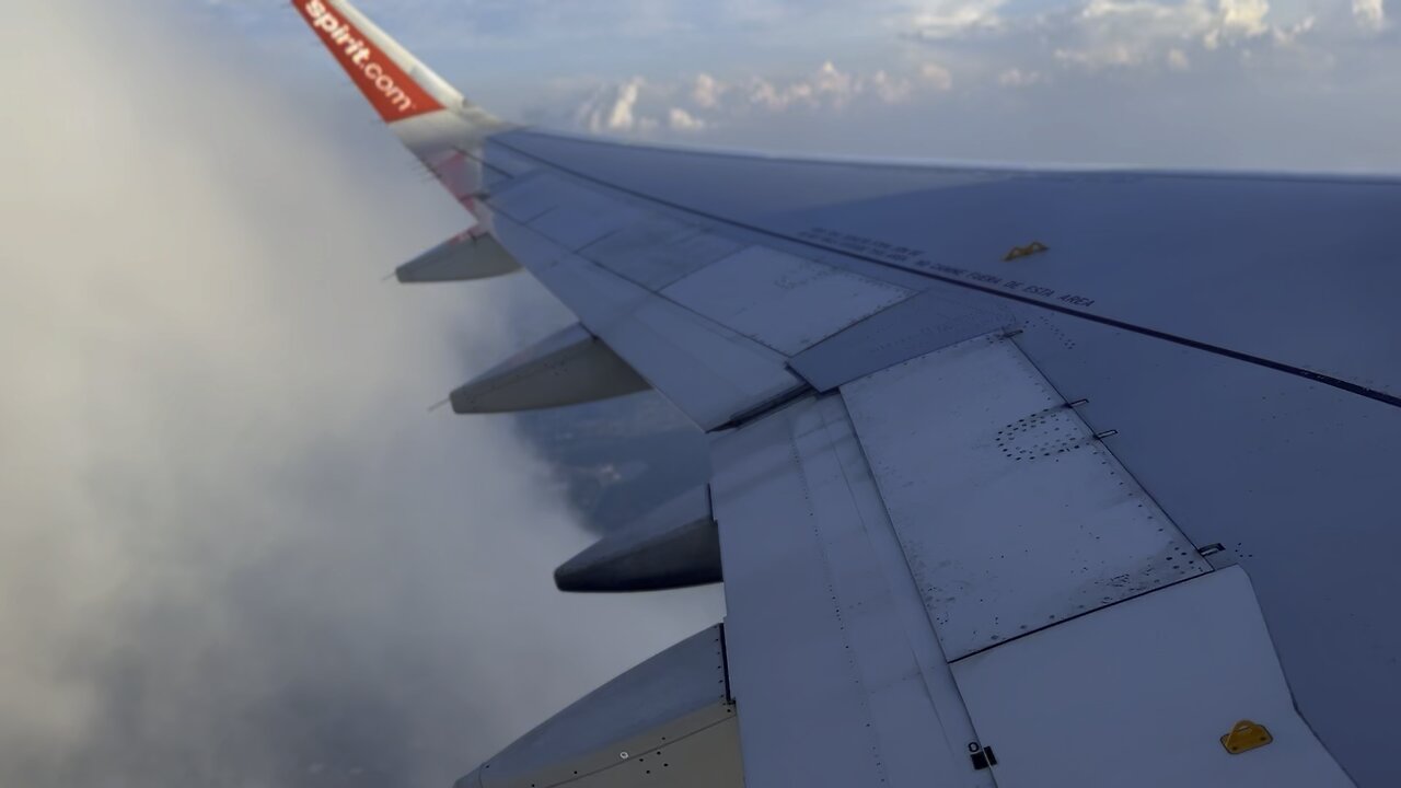 Wing view