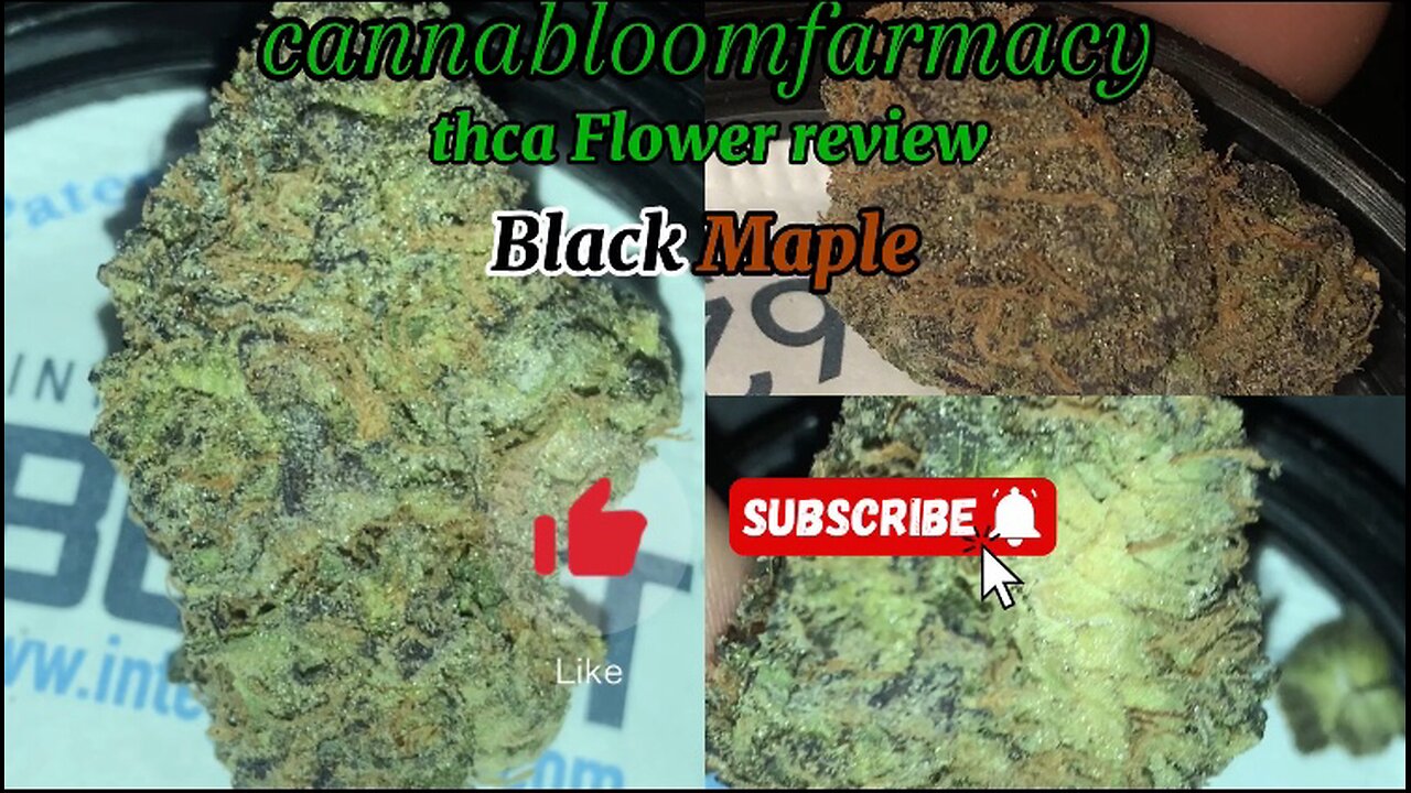 Cannabloom Farmacy- thca Flower review (3.5) (indica) Black Maple ⚫️🍁🥞⛽️💨