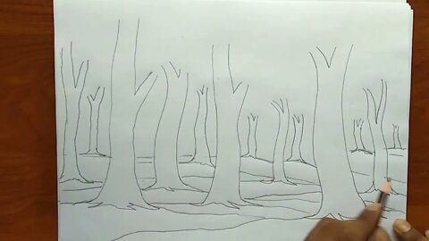 How to draw forest scene Step by step