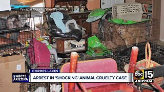 Woman arrested in shocking animal cruelty case