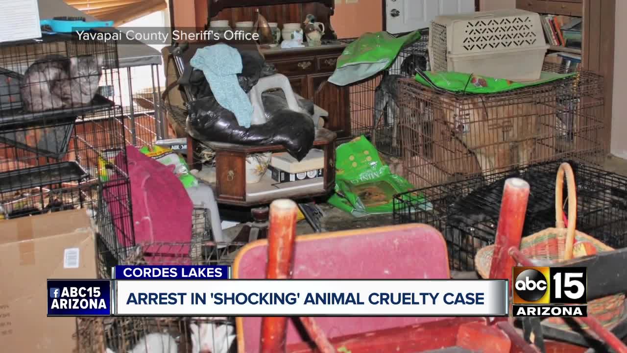 Woman arrested in shocking animal cruelty case