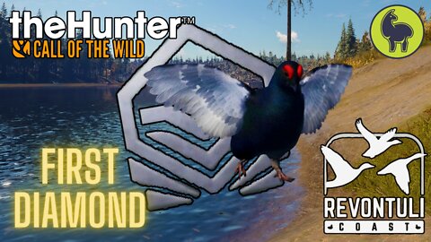 First Diamond on Revontuli Coast! theHunter: Call of the Wild (PS5 4K)