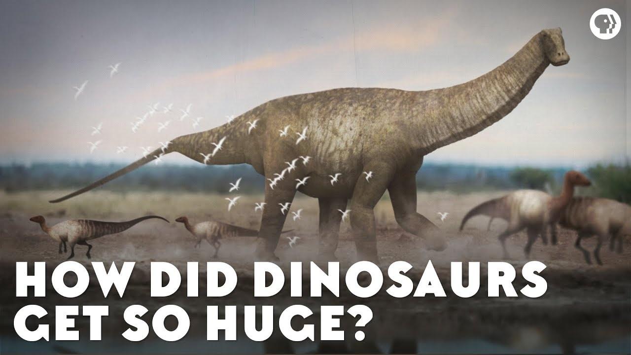 How Did Dinosaurs Get So Huge?