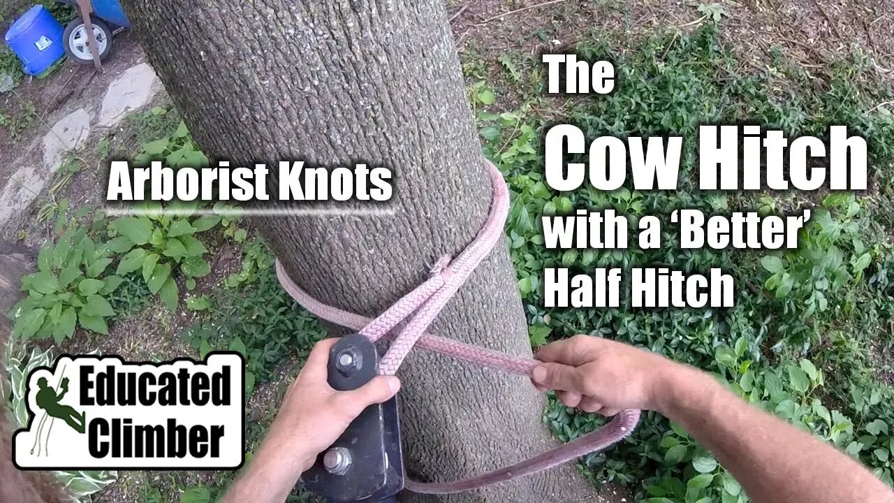 The Cow Hitch w/ a 'Better Half Hitch' | Arborist Knots