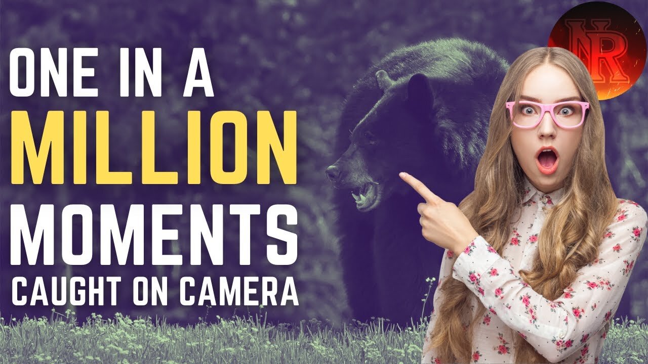 16 one in a million animal moments on camera part one | must watch