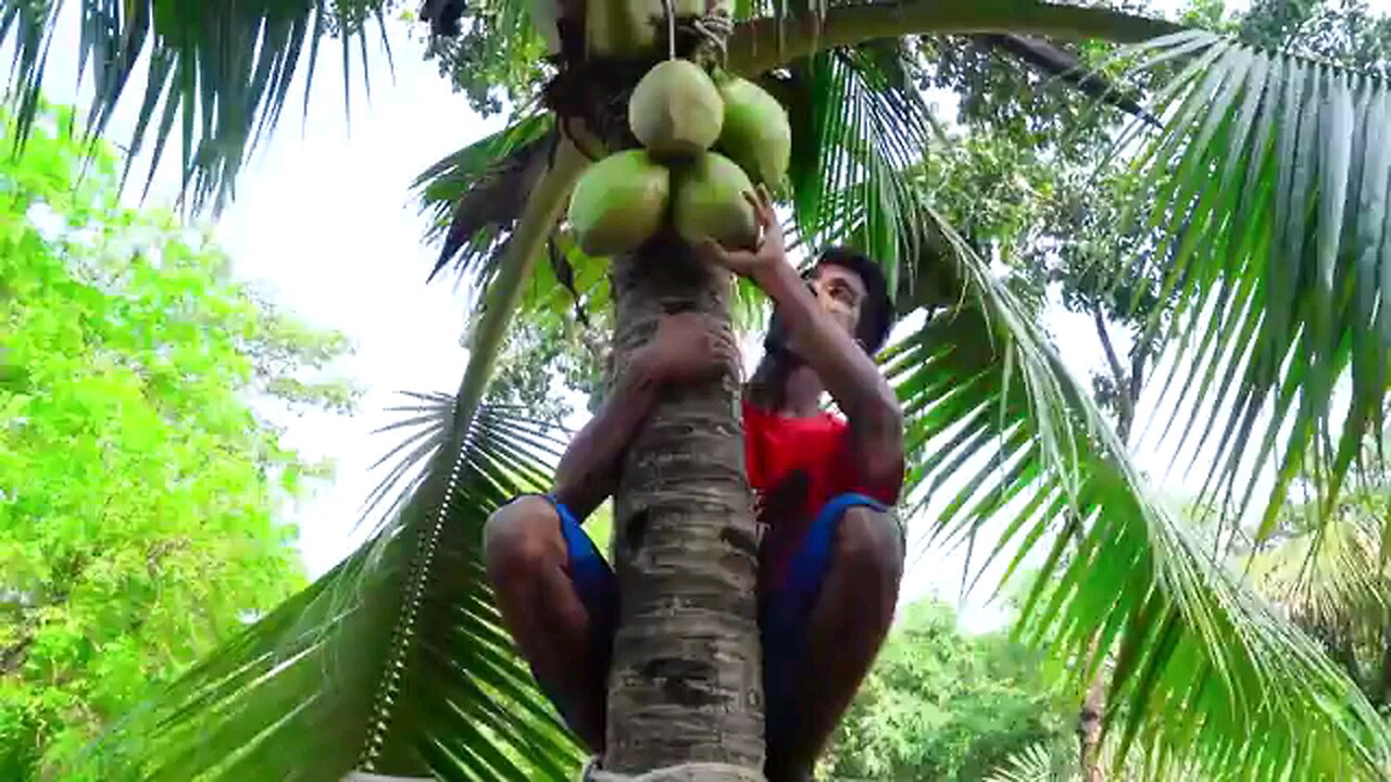 totally Amazing funny video🤣