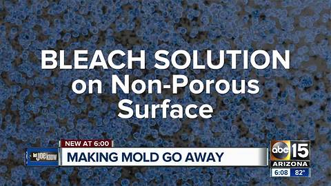 What to do if you find mold growing in your home